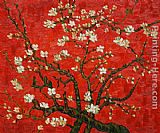 Vincent van Gogh Branches of an almond tree in Blossom in Red